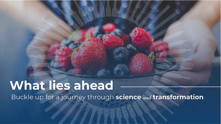 Systema course promotional image